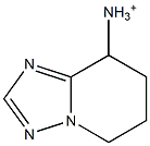 8-Ammonio-5,6,7,8-tetrahydro[1,2,4]triazolo[1,5-a]pyridine|