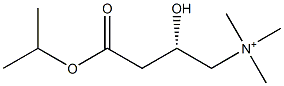 (S)-N,N,N-Trimethyl-2-hydroxy-3-isopropoxycarbonyl-1-propanaminium Struktur