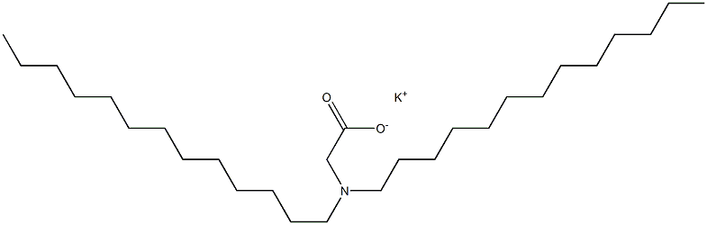 N,N-Ditridecylglycine potassium salt Struktur