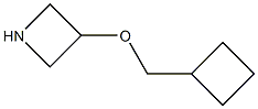 3-(Cyclobutylmethoxy)azetidine,,结构式