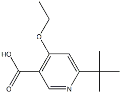 6-Tert-Butyl-4-ethoxypyridine-3-carboxylic acid Structure
