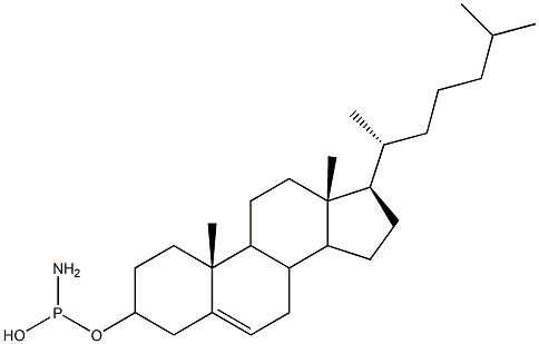 Cholesteryl Phosphoramidite Structure