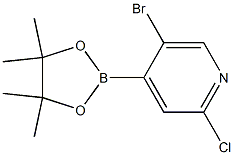 5-Bromo-2-chloro-4-(4,4,5,5-tetramethyl-1,3,2-dioxaborolan-2-yl)pyridine,,结构式