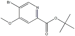 tert-butyl 5-bromo-4-methoxypyridine-2-carboxylate Structure