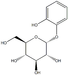  儿茶酚Α-D-吡喃葡萄糖苷