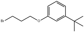1-(3-bromopropoxy)-3-tert-butylbenzene Structure