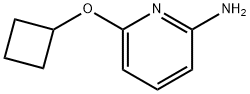 2-AMINO-6-(CYCLOBUTOXY)PYRIDINE 化学構造式