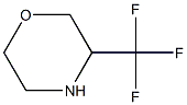 3-(trifluoromethyl)morpholine Structure