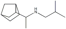 (1-{bicyclo[2.2.1]heptan-2-yl}ethyl)(2-methylpropyl)amine Structure