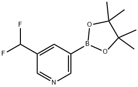 3-(difluoromethyl)-5-(4,4,5,5-tetramethyl-1,3,2-dioxaborolan-2-yl)pyridine Structure