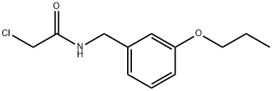 2-chloro-N-[(3-propoxyphenyl)methyl]acetamide Struktur