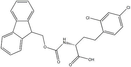 Fmoc-2,4-dichloro-D-homophenylalanine 结构式