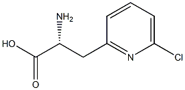 (2R)-2-AMINO-3-(6-CHLOROPYRIDIN-2-YL)PROPANOIC ACID 化学構造式