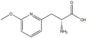 (2R)-2-AMINO-3-(6-METHOXYPYRIDIN-2-YL)PROPANOIC ACID 结构式