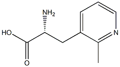 (2R)-2-AMINO-3-(2-METHYLPYRIDIN-3-YL)PROPANOIC ACID Struktur