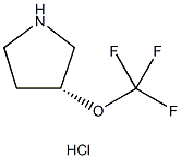 (3R)-3-(trifluoromethoxy)pyrrolidine;(R)-3-(Trifluoromethoxy)pyrrolidine hydrochloride Struktur