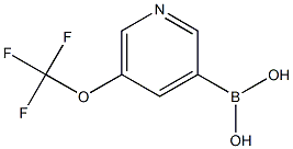 1293389-50-0 5-(三氟甲氧基)吡啶-3-硼酸