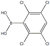 (2,3,5,6-四氯苯基)硼酸 结构式