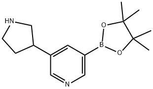 3-(PYRROLIDIN-3-YL)PYRIDINE-5-BORONIC ACID PINACOL ESTER Struktur