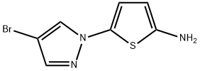 4-Bromo-1-(5-amino-2-thienyl)pyrazole,1363254-03-8,结构式