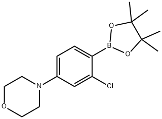 2-Chloro-4-(morpholino)phenylboronic acid pinacol ester Struktur