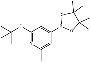 2-Methyl-6-(tert-butoxy)pyridine-4-boronic acid pinacol ester,1402166-45-3,结构式