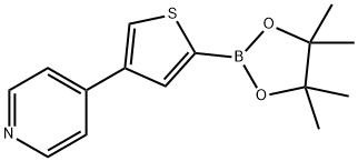 4-(4-Pyridyl)thiophene-2-boronic acid pinacol ester Struktur