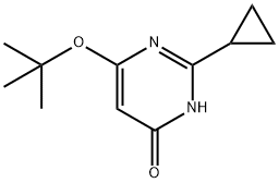 4-Hydroxy-2-cyclopropyl-6-(tert-butoxy)pyrimidine|