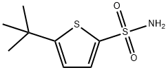 5-tert-butylthiophene-2-sulfonamide Struktur