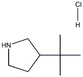 3-(叔-丁基)吡咯烷盐酸,1431774-20-7,结构式