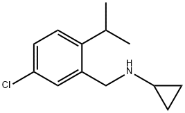 N-{[5-chloro-2-(propan-2-yl)phenyl]methyl}cyclopropanamine