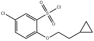 1496690-60-8 5-氯-2-(2-环丙基乙氧基)苯-1-磺酰氯