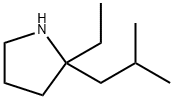 2-乙基-2-(2-甲基丙基)吡咯烷, 1498938-67-2, 结构式