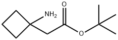 tert-butyl 2-(1-aminocyclobutyl)acetate Struktur