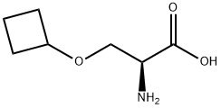 (2S)-3-cyclobutoxy-2-({[(9H-fluoren-9-yl)methoxy]carbonyl}amino)propanoic acid,1509911-79-8,结构式