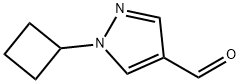 1-cyclobutyl-1H-pyrazole-4-carbaldehyde Structure