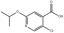 5-Chloro-2-(propan-2-yloxy)pyridine-4-carboxylic acid,1602466-28-3,结构式