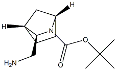 tert-butyl (1S,3R,4R)-3-(aminomethyl)-2-azabicyclo[2.2.1]heptane-2-carboxylate Struktur
