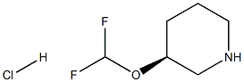 (S)-3-(difluoromethoxy)piperidine hydrochloride Struktur