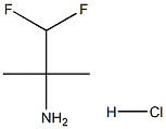 1,1-difluoro-2-methylpropan-2-amine hydrochloride 化学構造式