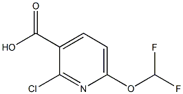 2-chloro-6-(difluoromethoxy)pyridine-3-carboxylic acid Struktur