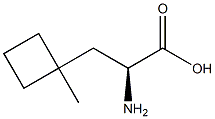 (2S)-2-amino-3-(1-methylcyclobutyl)propanoic acid Struktur