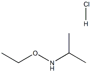 ethoxy(propan-2-yl)amine hydrochloride Struktur
