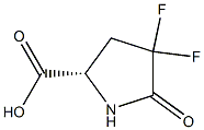 (S)-4,4-difluoro-5-oxopyrrolidine-2-carboxylic acid Struktur