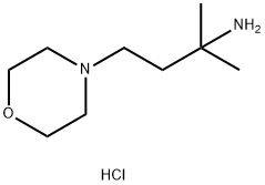 2-methyl-4-morpholinobutan-2-amine dihydrochloride|2-甲基-4-(吗啉-4-基)丁烷-2-胺二盐酸