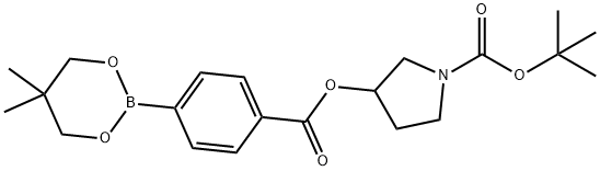 1-Pyrrolidinecarboxylic acid, 3-[[4-(5,5-dimethyl-1,3,2-dioxaborinan-2-yl)benzoyl]oxy]-, 1,1-dimethylethyl ester 结构式