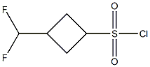 3-(difluoromethyl)cyclobutane-1-sulfonyl chloride 化学構造式