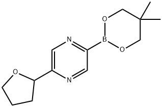 5-(Oxolan-2-yl)pyrazine-2-boronic acid neopentylglycol ester Structure