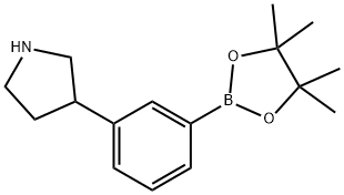 3-(Pyrrolidin-3-yl)phenylboronic acid pinacol ester Struktur