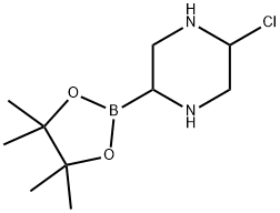 5-Chloropiperazine-2-boronic acid pinacol ester 化学構造式